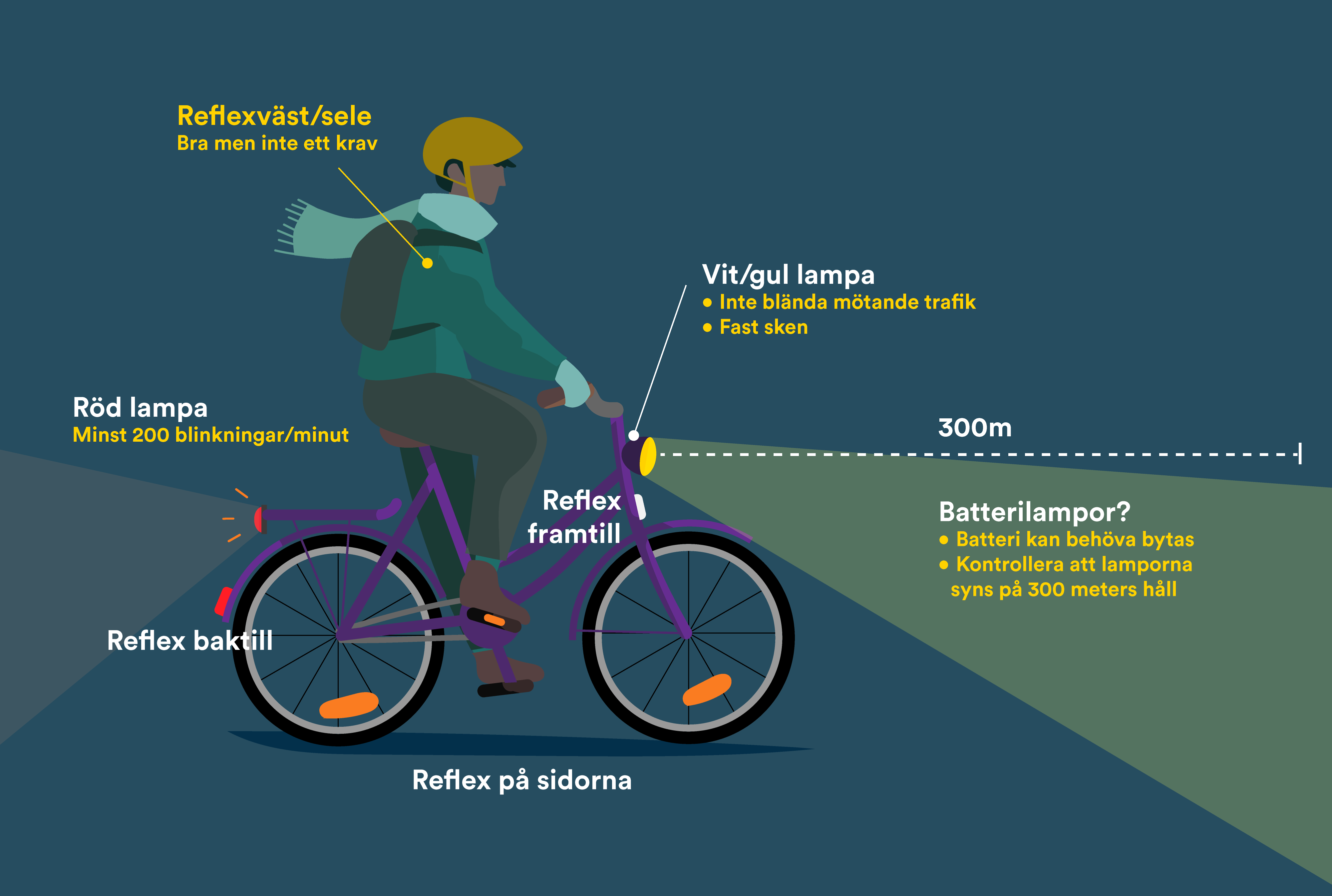 Infografik - syns och cykla