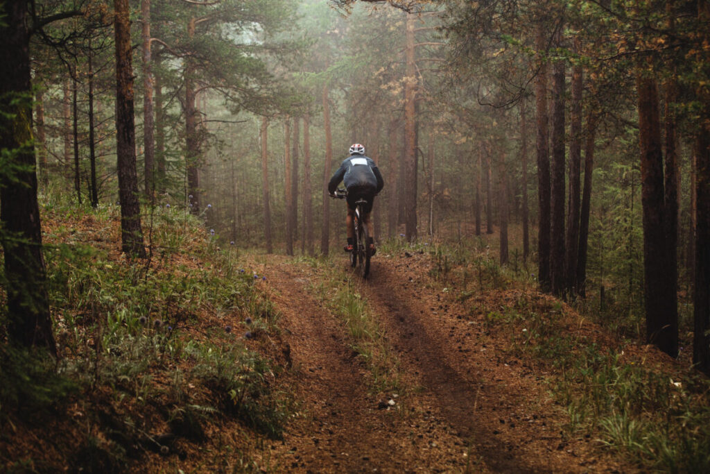Illustration: cyklist i skogen